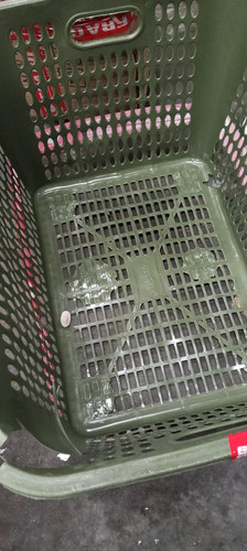 WhatsApp Image 2026 03 04 at 08.59.52.jpg