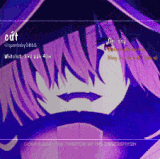 profile 6.3