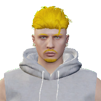 f21b566f1517.png