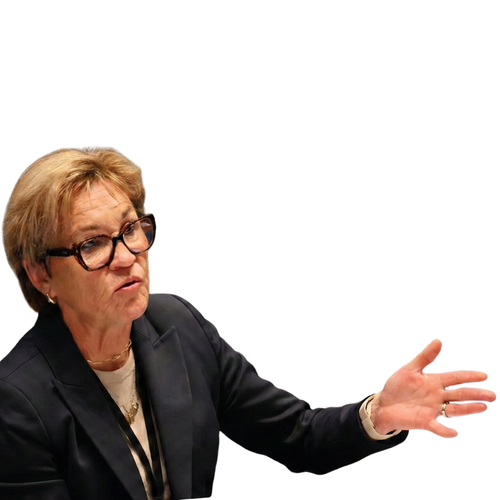 Helen Dalton questioning.png
