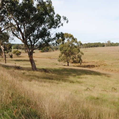 Country NSW.png