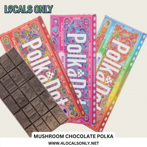 Mushroom Chocolate Polka.jpg