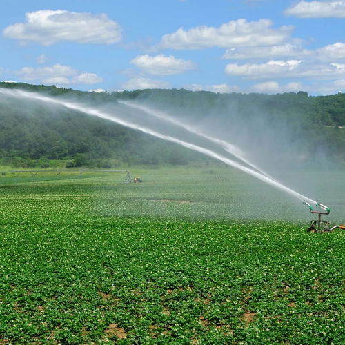 IRrigation.png