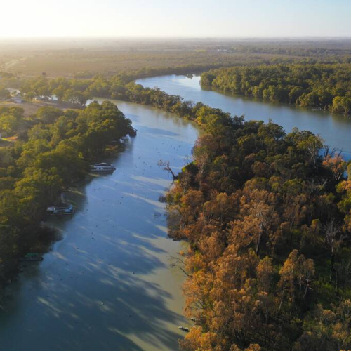 Murray river 3.png