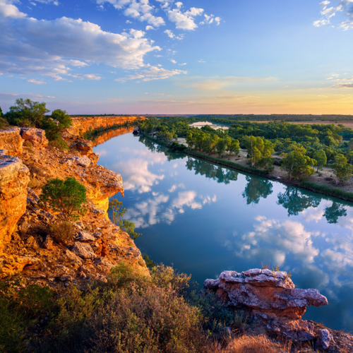 Murray river 2.png