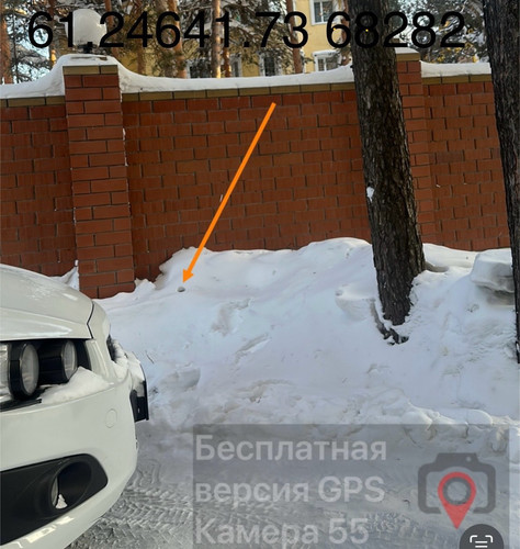 IMG 9113.jpg