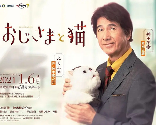 018 01 大叔与猫.jpg