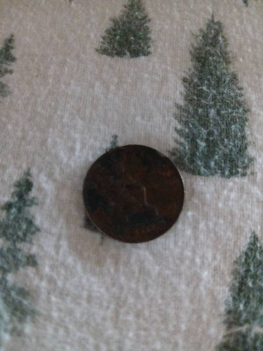 9d1776b1ddca.jpg