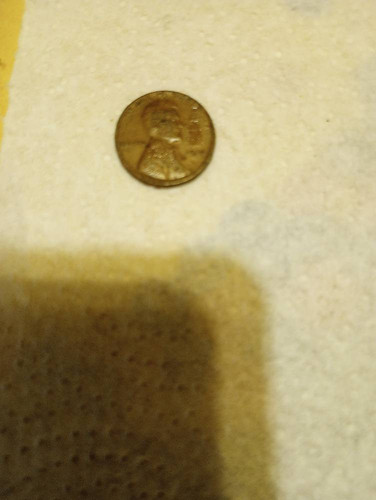 599209343119.jpg