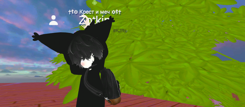 imagen.png