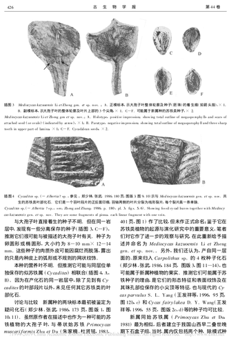 dc4451848599.png