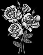 IMG 4a3aa3ef7b5edead0a1f9ec363a71a69 V1.jpg