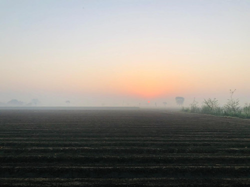 a7e7abc3539f.jpg