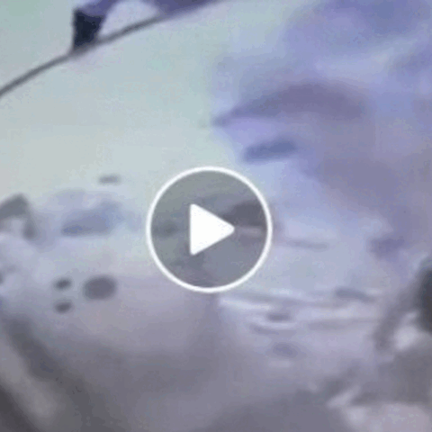 merged (4) (2).gif