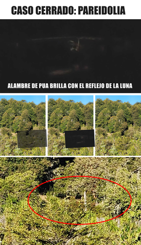 PAREIDOLIA 2027.png