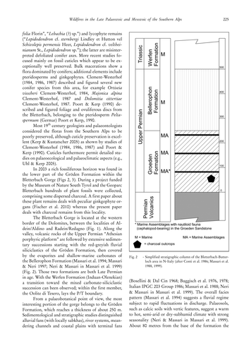 f973e262950a.png