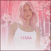 t1.gif