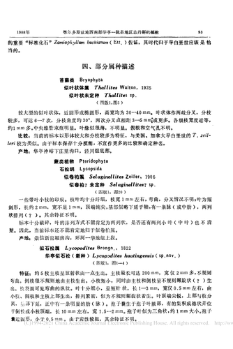 9f7481446a6e.png
