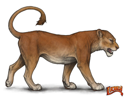 lioden wardrobe (6).png