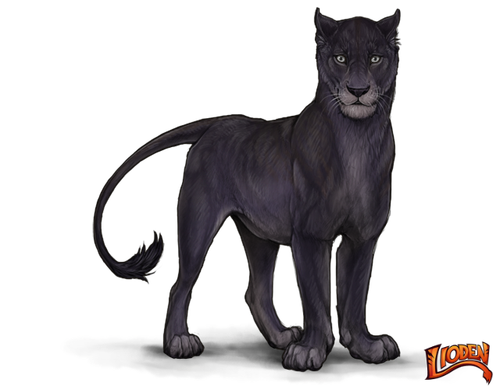 lioden wardrobe (5).png