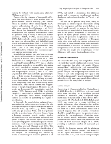 d7bb23a28be5.png