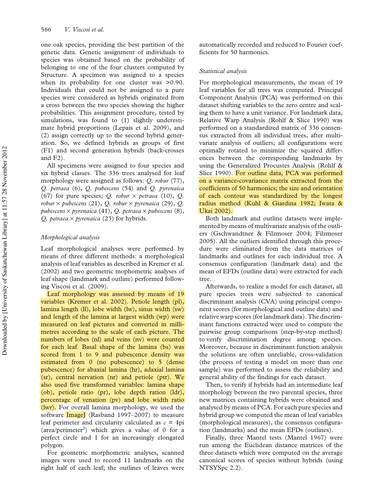 92debcaa811e.png
