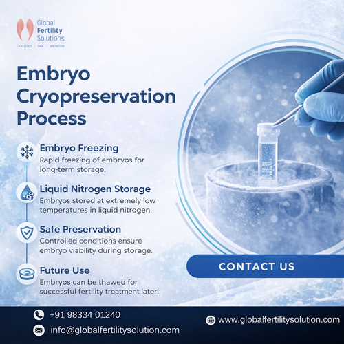 Embryo Cryopreservation Process.png