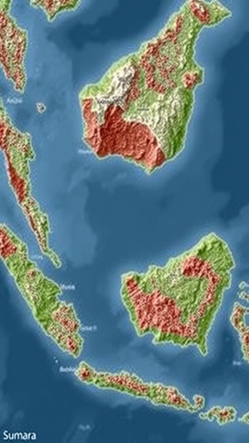 d33db5c00223.jpg