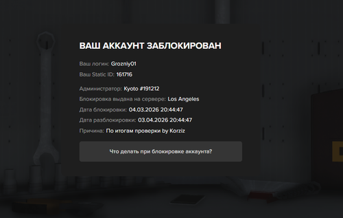 Снимок экрана 2026 03 04 205911.png