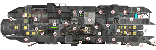 torti cut away v3.png