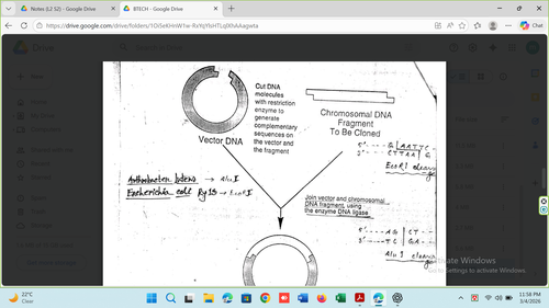 1e68985df851.png