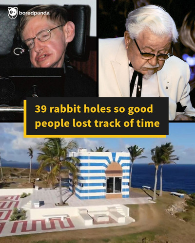 rabbit holes.jpg