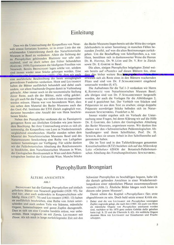 28dc9b482157.jpg