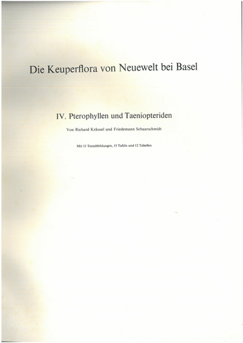 8e3f0217329a.png