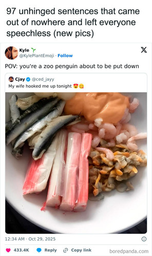 funny tweets posts.jpg