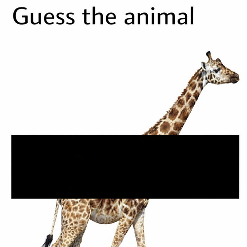 ffa335d3 ae4d 4c97 92a4 967bb996b904.png