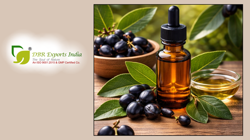 Laurel Berry Oil Suppliers for Bulk Orders.png