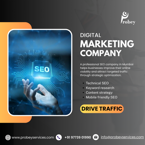 Why Businesses Prefer a Professional SEO Company in Mumbai.png