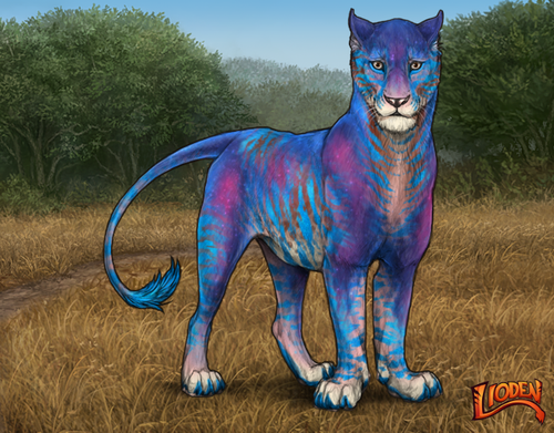 lioden wardrobe 2026 03 04T092108.571.png