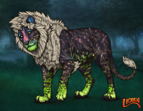 lioden wardrobe 2026 03 04T093331.535.png