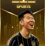 main frames golden.gif