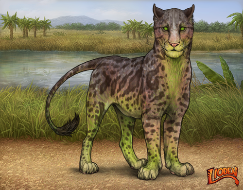 lioden wardrobe 2026 03 04T094745.546.png