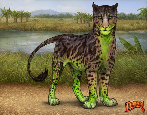 lioden wardrobe 2026 03 04T094803.543.png