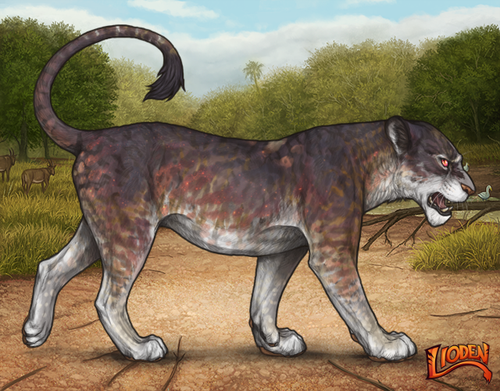 lioden wardrobe 2026 03 04T095406.495.png