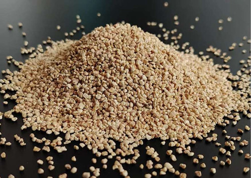 Corn Cob  - Becens Co., Ltd..jpg