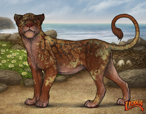 lioden wardrobe 2026 03 04T095012.412.png