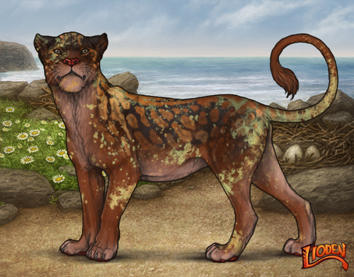 lioden wardrobe 2026 03 04T095107.579.png