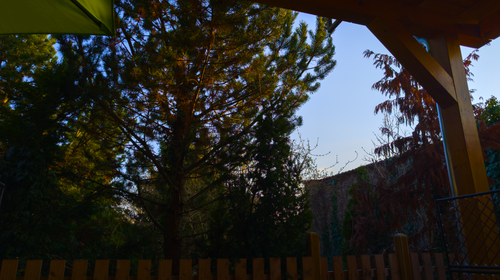 PXL 20260304 153331521.RAW 02.ORIGINAL.png