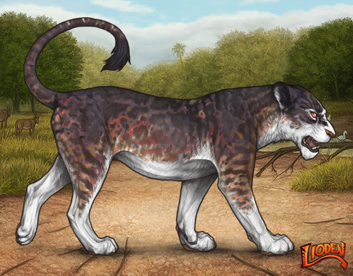 lioden wardrobe 2026 03 04T095422.527.png