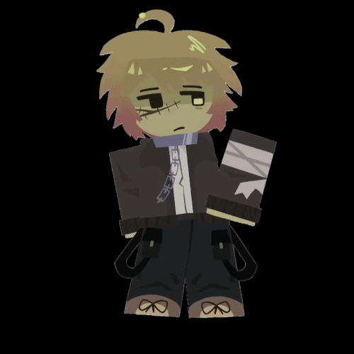 IMG 4258.gif